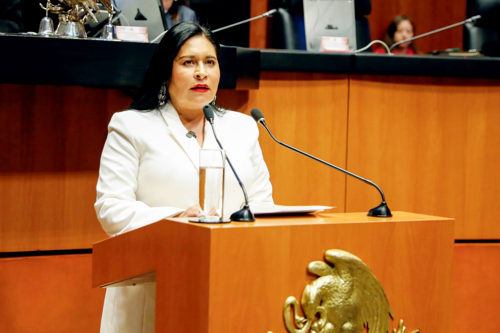 Las reformas a la Constitución ya transforman la vida de miles de familias tlaxcaltecas: Ana Lilia Rivera